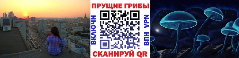 Галлюциногенные грибы мицелий  Сертолово 