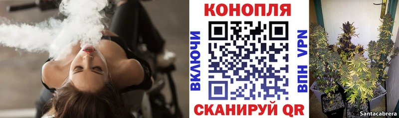 Бошки Шишки SATIVA & INDICA  хочу наркоту  Сертолово 